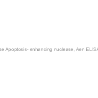 Mouse Apoptosis- enhancing nuclease, Aen ELISA KIT